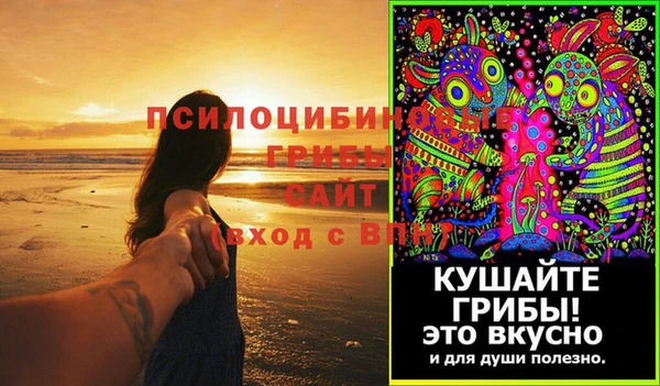 дживик Баксан