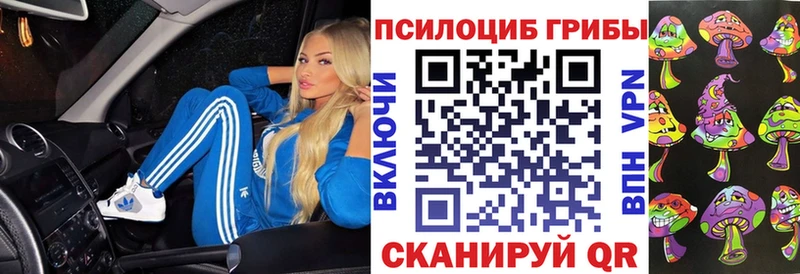 kraken зеркало  Володарск  Псилоцибиновые грибы Cubensis 